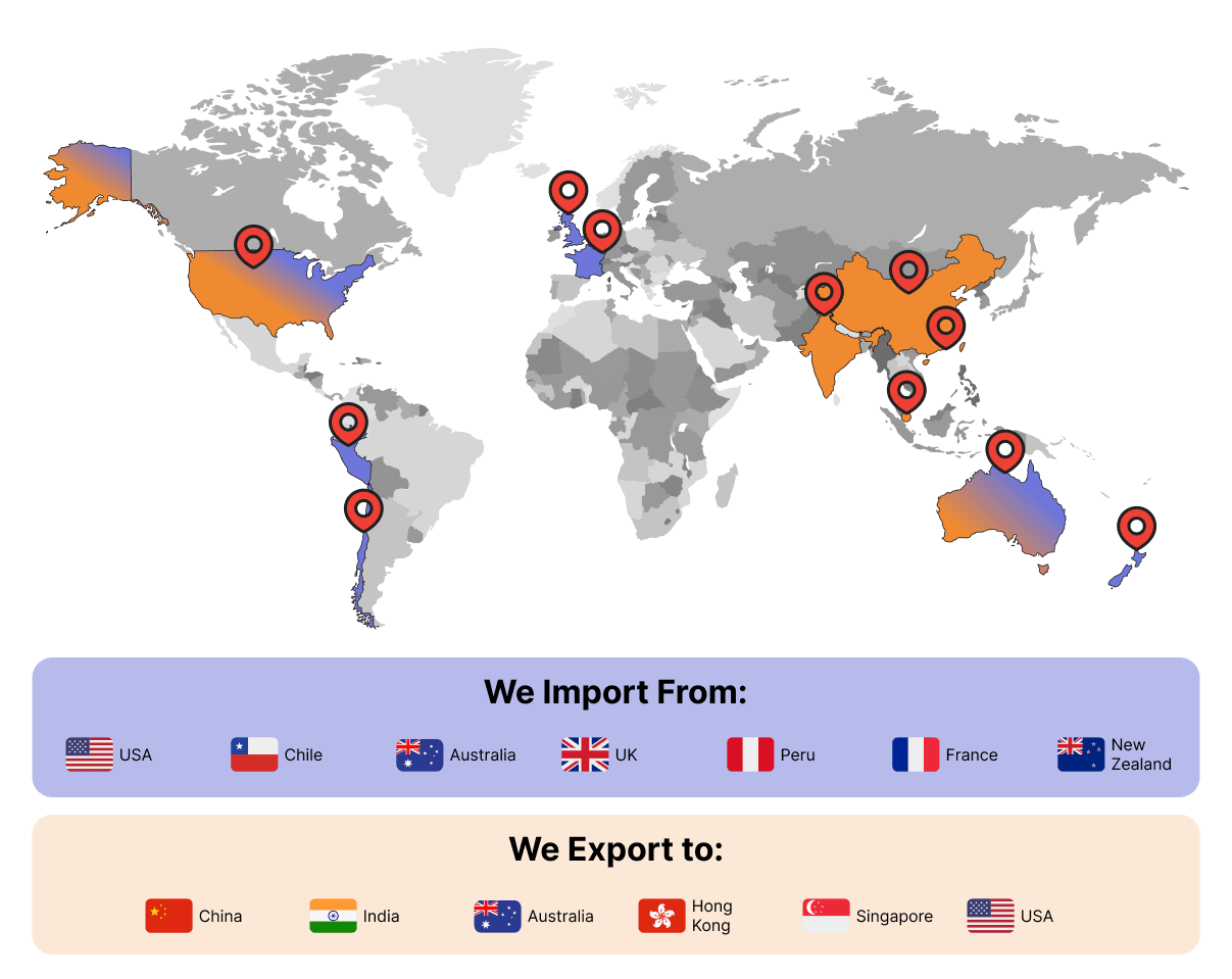 RLG Import Export Destinations